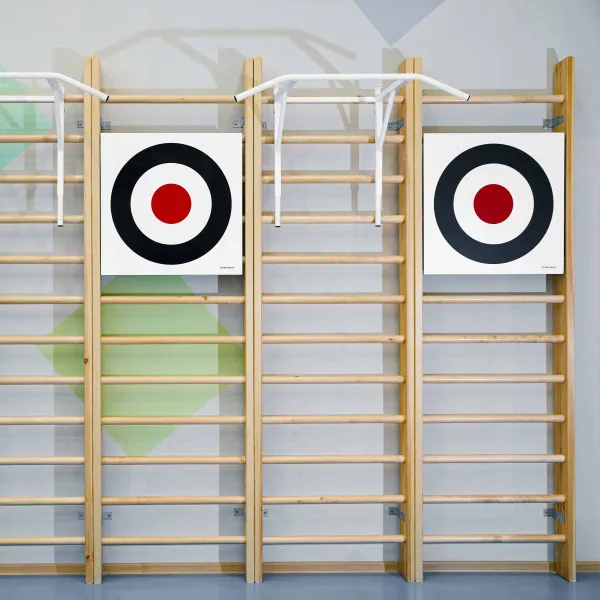 Щит для метания навесной на шведскую стенку (фанера) 700х700 ZAVODSPORTA за 8&nbsp;960 ₽ в Чебоксарах