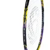 Ракетка бадм. TORRES Carbon PRO6, BD20521,для продв., стерж/обод из карбона,со струнами, фиол за 4&nbsp;477.80 ₽ купить в Чебоксарах