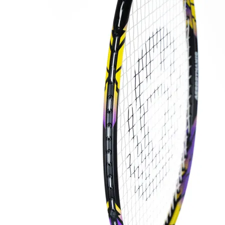 Ракетка бадм. TORRES Carbon PRO6, BD20521,для продв., стерж/обод из карбона,со струнами, фиол за 4&nbsp;477.80 ₽ купить в Чебоксарах