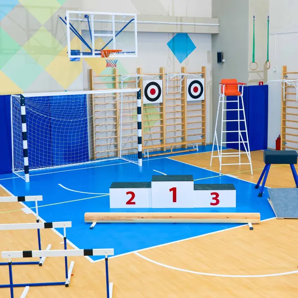 Щит для метания навесной на шведскую стенку (фанера) 700х700 ZAVODSPORTA за 8&nbsp;960 ₽ в Чебоксарах