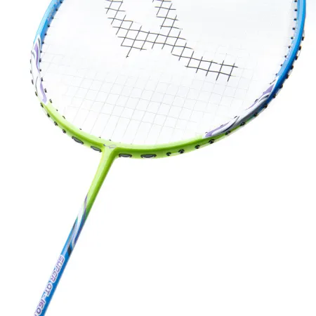 Ракетка для бадм. DOUBLE FISH JINQUE QT-1601, для продвинутых,карбон со струнами,литая,голубой за 3&nbsp;015.80 ₽ купить в Чебоксарах