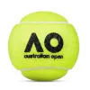 Мяч теннисный Dunlop Australian Open, 601601, уп..3 шт, одобр.ITF,фетр,нат.резина, желтый за 1&nbsp;171.30 ₽ купить в Чебоксарах
