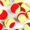 Мяч теннисный детский NS Red, 5021009, уп.12 шт, резина, шерть, нейлон, желто-красный за 2&nbsp;941 ₽ купить в Чебоксарах