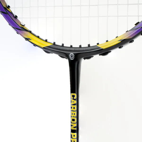 Ракетка бадм. TORRES Carbon PRO6, BD20521,для продв., стерж/обод из карбона,со струнами, фиол за 4&nbsp;477.80 ₽ в Чебоксарах