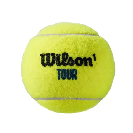 Мяч теннисный WILSON Tour Premier All Court, WRT119400, одобр.ITF, фетр, нат.резина,. уп.4 шт за 1&nbsp;676.20 ₽ купить в Чебоксарах
