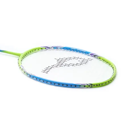 Ракетка для бадм. DOUBLE FISH JINQUE QT-1601, для продвинутых,карбон со струнами,литая,голубой за 3&nbsp;015.80 ₽ купить в Чебоксарах